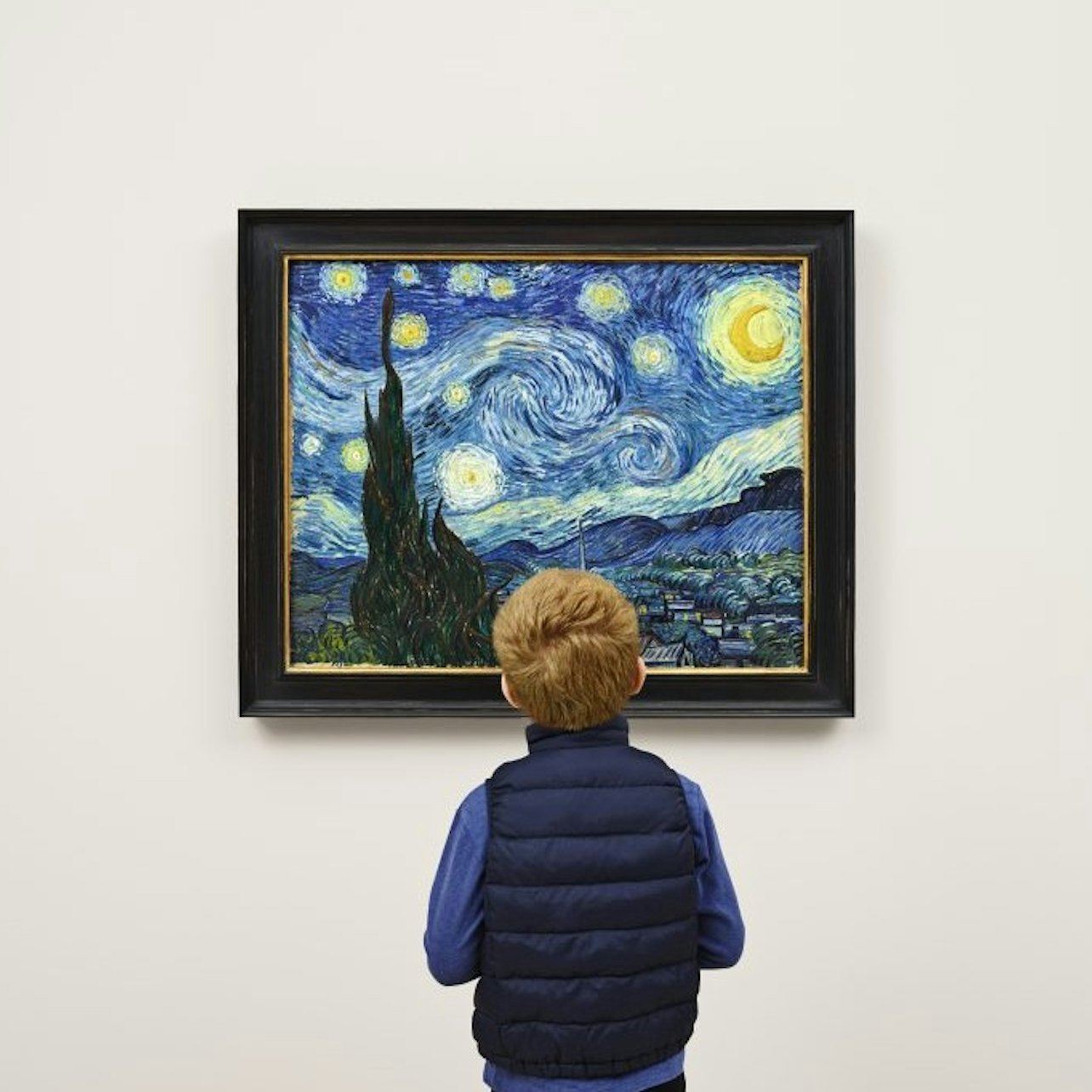 New York: Manhattan Guided Walking Tour + Museum of Modern Art Entry