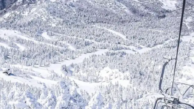 日本札幌出發打卡小樽積丹半島/可登別富良野北海道多日包車精選