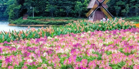 從化石門公園四季花海+南平靜修小鎮一日遊【包車遊上門接送】