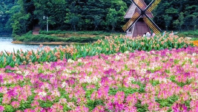 從化石門公園四季花海+南平靜修小鎮一日遊【包車遊上門接送】
