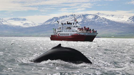 Akureyri