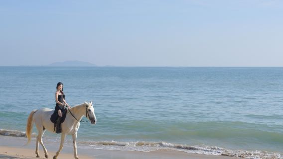 三亞海邊騎馬體驗
