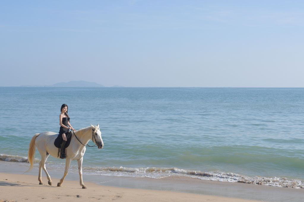 三亞海邊騎馬體驗