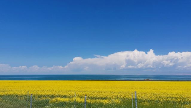 塔爾寺+青海湖一日遊【日月山+拉脊山/上門接送獨立包團純玩無購物