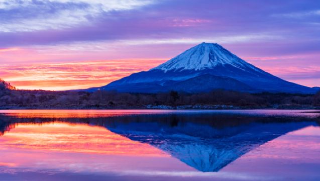 KabaBus山中湖水陸兩用巴士體驗+富士山觀相撲秀【橫綱之路】沉浸式體驗日本文化富士山明信片製作含接送99%選