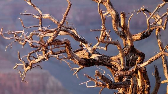 美國私享Vegas地標深度遊[大峽谷東緣南緣]-12H行程