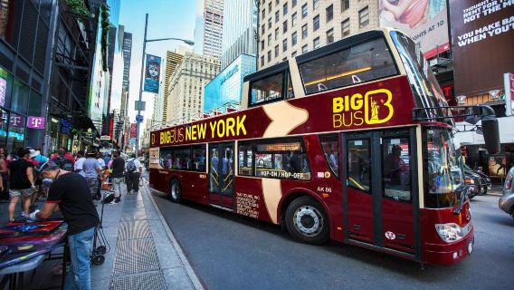 New York: 1-Day Hop-on Hop-off Tour + Statue of Liberty Cruise