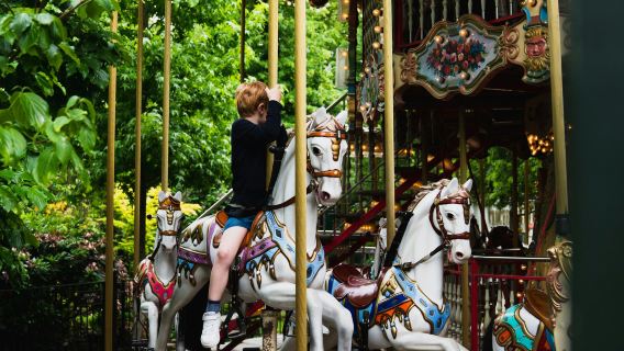 Copenhagen Card - DISCOVER: 80+ Attractions incl. Tivoli Gardens + Transport