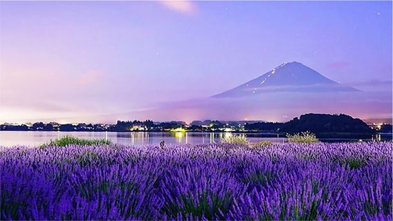 FujinomiyaTours