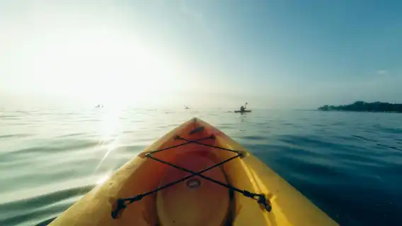 Quick Kayak Tour for Small Groups in Venice
