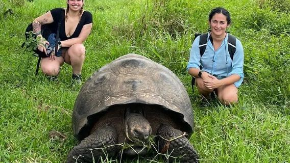 Tour per avvistare tartarughe giganti e tunnel di lava