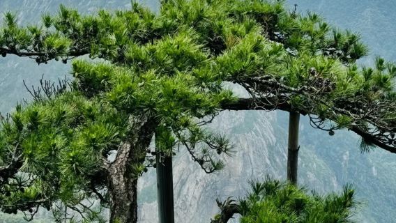 江西九江廬山包團人員導覽服務【門票觀光車自理+資深導覽帶隊】