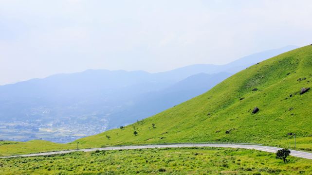 Kyushu Nature Zoo Day Tour