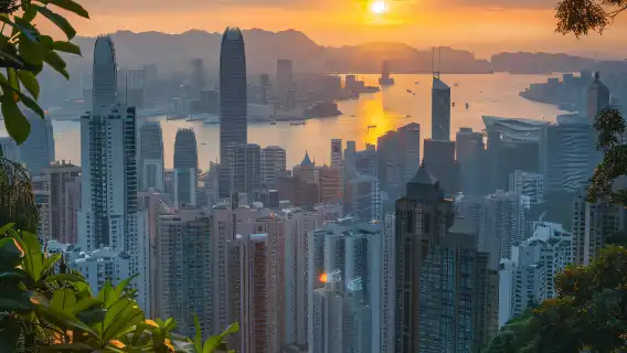 【香港一日遊－品質純玩】太平山頂＋星光大道＋金紫荊＋維港夜景