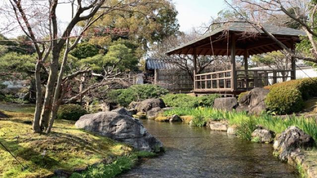 Osaka: Himeji Castle, Arima Onsen & Mt. Rokko 1-Day Bus Tour