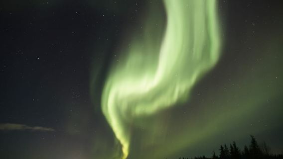 Saariselkä: Recorrido fotográfico de la aurora boreal en coche con traslado y bebidas