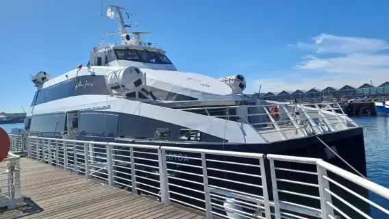 เกาะ Robben, แหลมแห่งความหวังดี, เพนกวิน, มุยเซนเบิร์ก, Bokaap