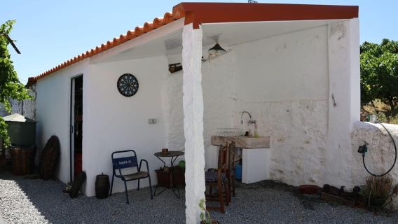 Atardecer en el valle del Duero: cata de vinos y paseo en barco privado