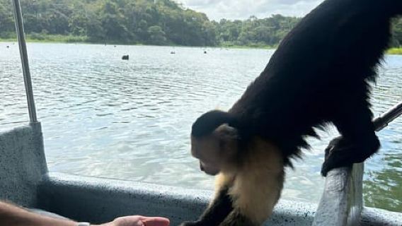 Panama City : aventure guidée dans la jungle avec croisière sur le lac Gatun
