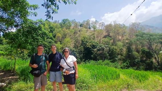 Ella: 9 Arches Bridge, Little Adam's Peak, Tea Factory