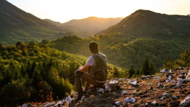 Immersive Outdoor Experience in the Land of Wolves