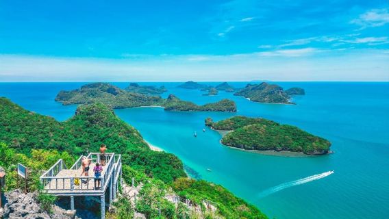 Koh Samui: Rosa Delfinbeobachtungs- und Schnorcheltour