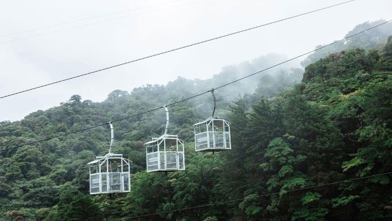 Monteverde: funivia TreeTram e sentiero escursionistico nella foresta nebulare