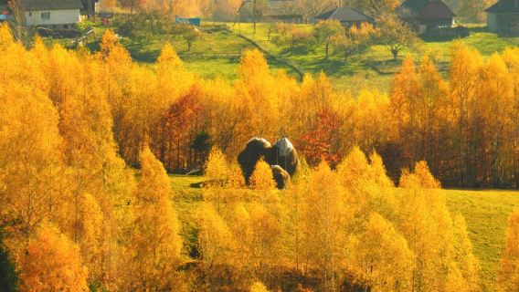 Dari Brasov: Lawatan Sehari Kampung Gunung Romania