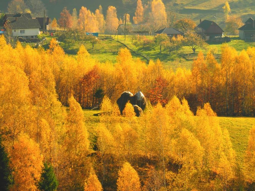 From Brasov: Romanian Mountain Villages Day Tour
