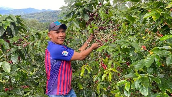 Boquete, Panama: Specialty Coffee Tour