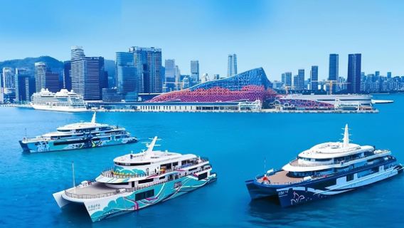 [Crucero de la Gran Bahía en Shekou, Shenzhen] Excursión marítima de 3 horas ida y vuelta al puente Hong Kong-Zhuhai-Macao · Sin necesidad de permiso de entrada
