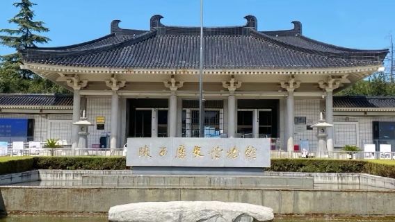 陝西歷史博物館（基礎+珍寶）大咖人工2.5h深度講解【可選含入場門票】