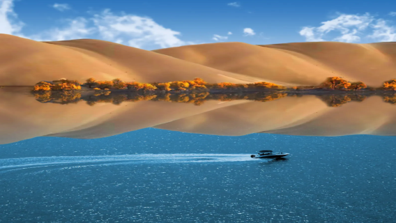 【新疆胡楊林二選一】塔塔秘境-羅布湖風景區/139胡楊秘境