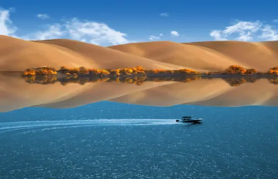 新疆胡楊林二選一（塔塔秘境-羅布湖風景區/139胡楊秘境）