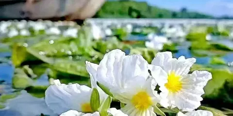 瀘沽湖360度環湖包車一日遊【純玩專享|一單一團|酒店接送】