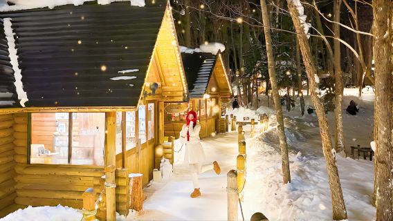 tour 1 ngày Vườn bách thú Asahiyama & Sân thượng Yêu tinh rừng & Ao xanh (khứ hồi Sapporo)