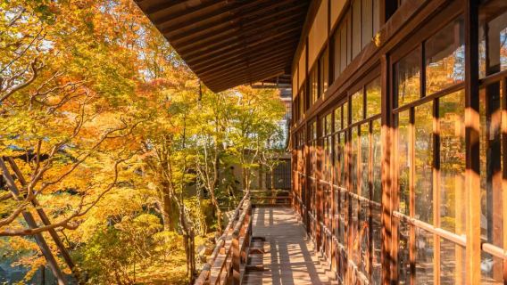 【京都賞楓名所】清水寺南禪寺永觀堂金閣寺一日遊【中文司機】