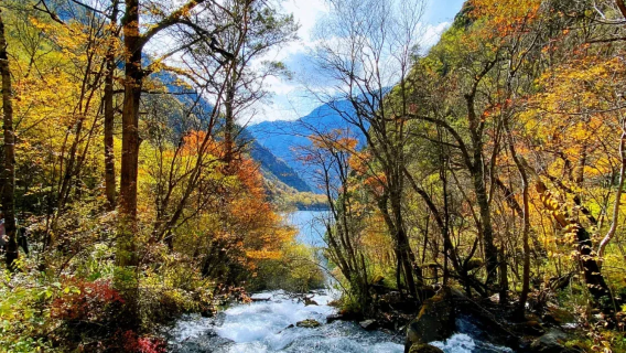 輕徒步·龍蒼溝天生橋一日遊【金秋賞景|賞森林&溪流&瀑布】