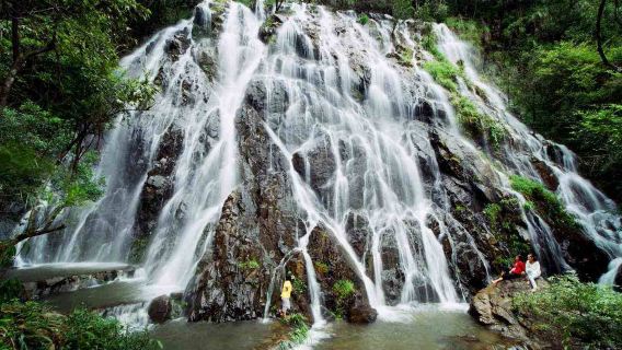 【親子首選】武夷山武夷桐木關1日：山野猴谷+打卡月亮灣