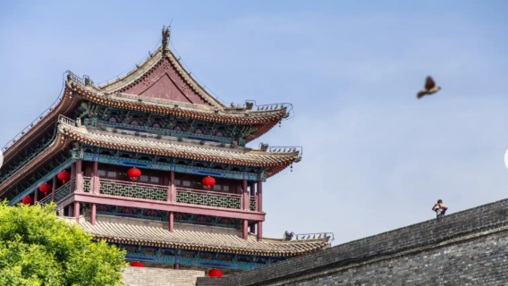 【包車遊】鐘鼓樓+城牆+回民街+長安十二時辰一日遊/英文導遊