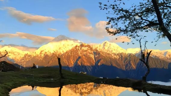 Chengdu Hailuogou Overnight Camping[Night hiking + Glacier secret spot check-in + 2-day immersive experience + Chengdu round-trip]