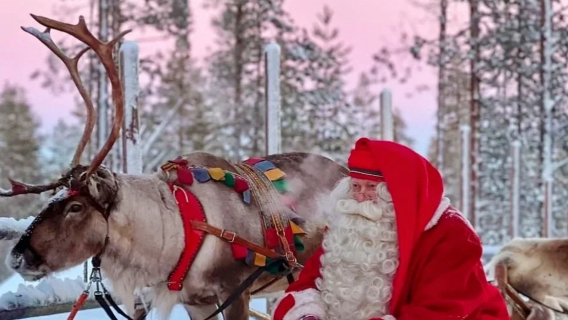 Hochwertiger Tagesausflug nach Rovaniemi in Lappland, Finnland [inkl. Schlittenfahrt/Mittagsbuffet]