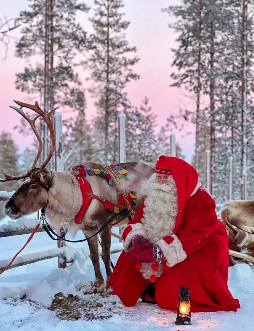 Tour di un giorno di alta qualità nella Lapponia di Rovaniemi, Finlandia [incluso slittino/pranzo a buffet]