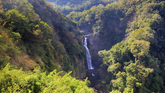 Taipéi: excursión de un día a la calle antigua de Daxi y la fábrica de té de Xiaowulai