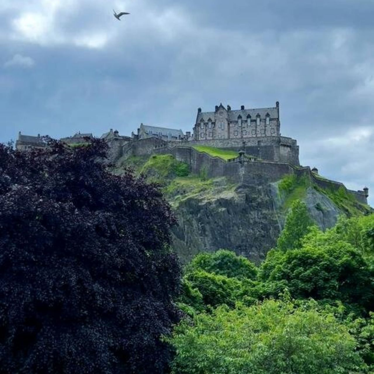 英國倫敦+七姐妹白崖+比奇角一日遊/行程可調-可訂製