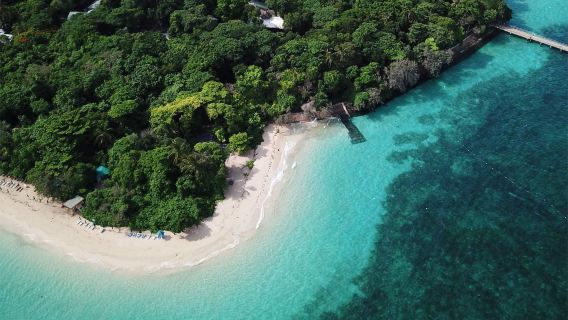 [Optional Snorkeling/Glass Bottom Boat] Cairns Big Cat Green Island Half-Day Tour