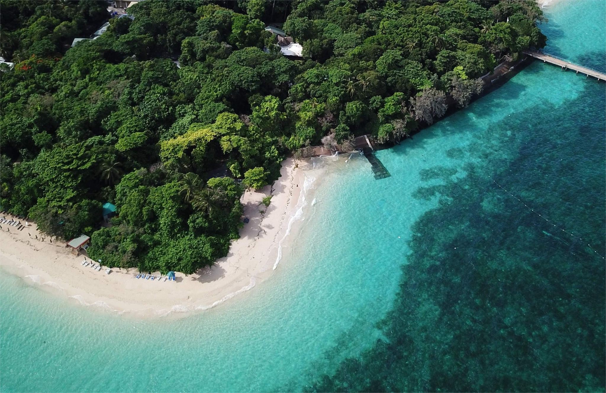 [Snorkeling opzionale/barca con fondo in vetro] Tour giornaliero a Green Island con Big Cat da Cairns
