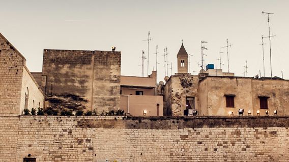 Basilica di San Nicola e Cripta: visita guidata