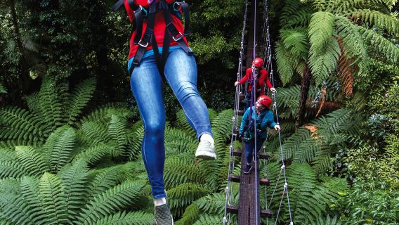 Rotorua Canopy Tours   Pengalaman meluncur di ketinggian di hutan purba