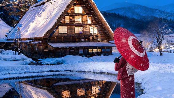 Tour di un giorno a Nagoya, Hida Takayama e Villaggi storici di Shirakawa-go e Gokayama [gruppo esclusivo di 9 persone]|Trasferimento in hotel opzionale]